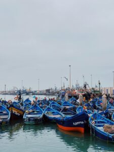 One day trip Essaouira
