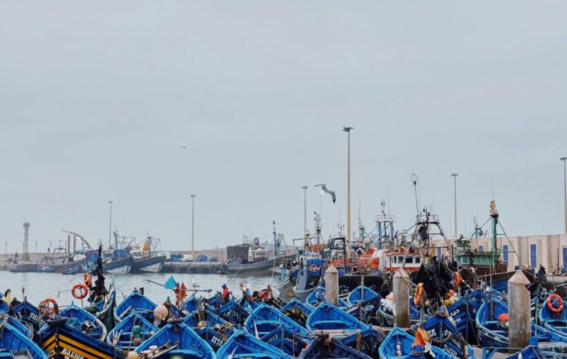 One day trip Essaouira
